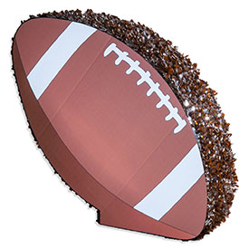 Set, Hike! Football Float Kit