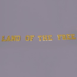 "Land of the Free" Letters Parade Float Kit