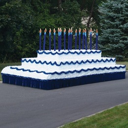 Complete Birthday Cake Parade Float Decorating Kit