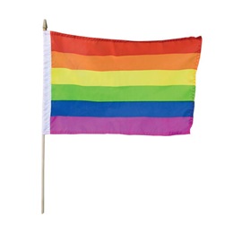 Rainbow Flag - 12"