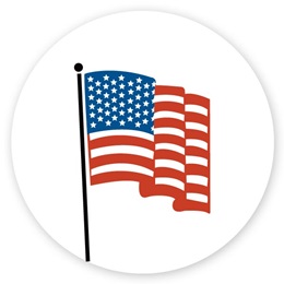 American Flag Button