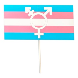 Transgender Pride Flag Kit