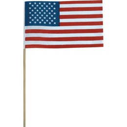 Cloth USA Flags
