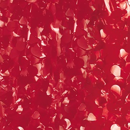 Red Vinyl Floral Sheeting
