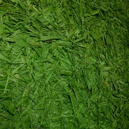 Green Raffia Grass Mat