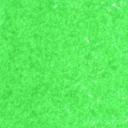 Parade Float Pomps - Light Green