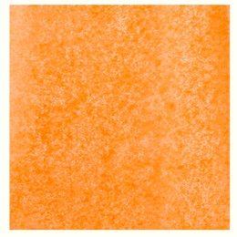 Tissue Pomps - Orange