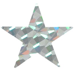 Silver Diamond Holographic Star-2"