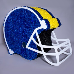 Blue and Yellow Mega Football Helmet Parade Float Kit