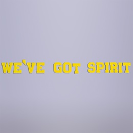 Yellow We've Got Spirit Letters Parade Float Kit (set of 2)