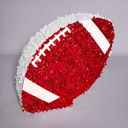 Red and White Giant Football Parade Float Kit