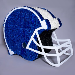 Blue and White Mega Football Helmet Parade Float Kit