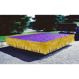 Purple and Gold Metallic Trailer Parade Decorating Kit