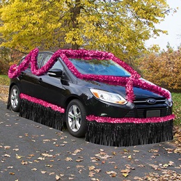 Pink and Black Metallic Car Parade Decorating Kit