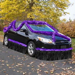 Purple and Black Metallic Car Parade Decorating Kit